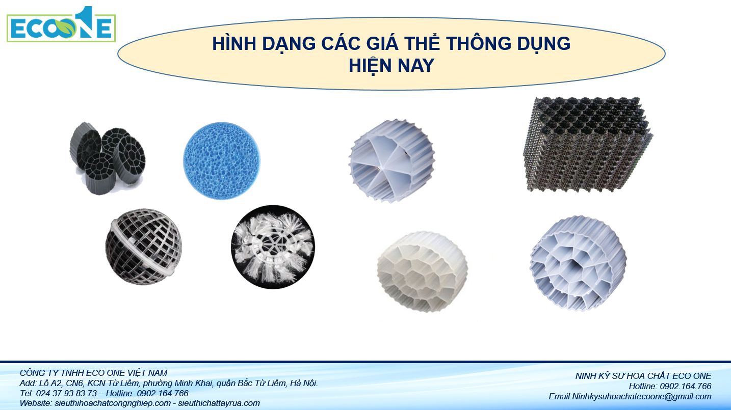 Hình dạng các giá thể thông dụng hiện nay