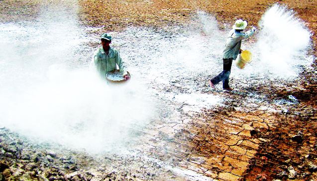 Rắc vôi ao hồ để khử trùng, diệt khuẩn