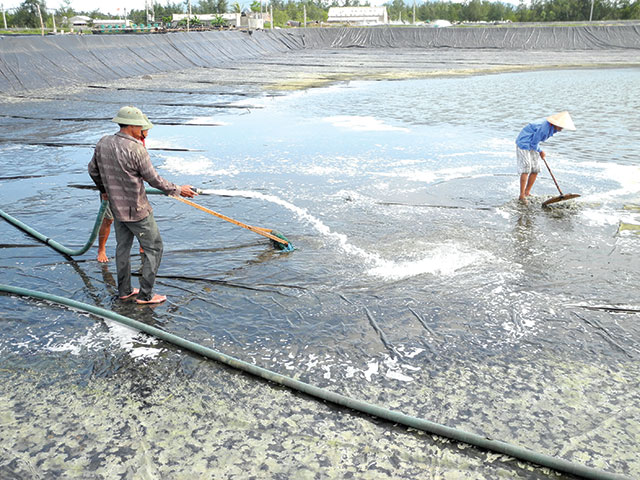 Chuẩn bị hồ nuôi thủy sản