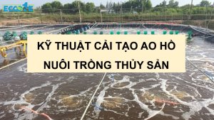 kỹ thuật cải tạo ao hồ nuôi trồng thủy sản