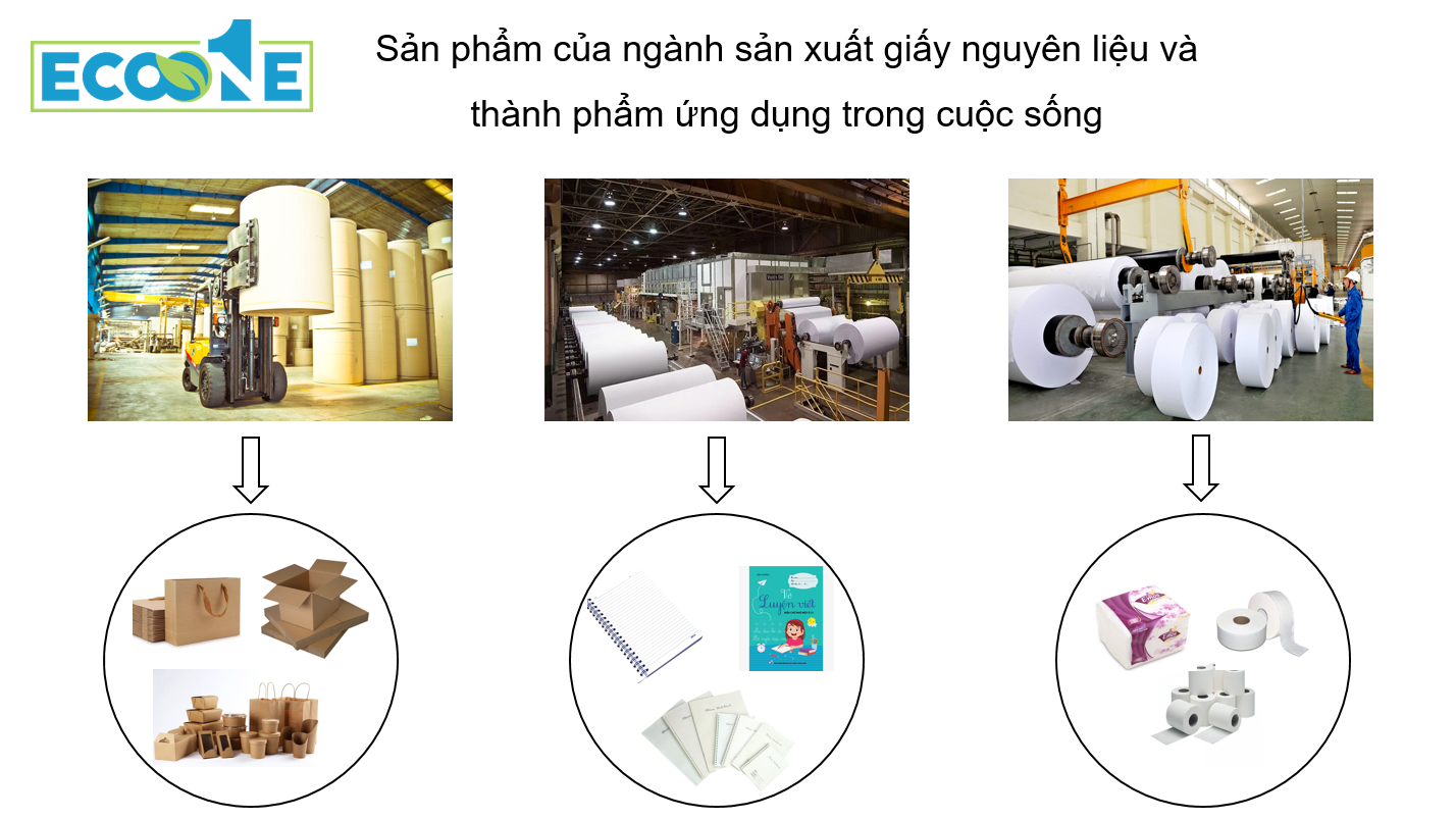 Sản phẩm từ ngành sản xuất giấy