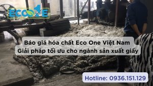 Báo giá hóa chất Eco One Việt Nam - Giải pháp tối ưu cho ngành sản xuất giấy