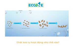 Chất Keo Tụ Hoạt động Như Thế Nào