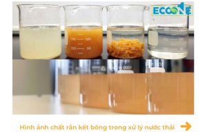 Chất Rắn Kết Bông Trong Xử Lý Nước