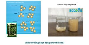 Hóa Chất Trợ Lắng Trong Xử Lý Nước