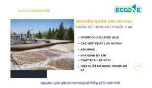 Nguyên Nhân Gây Ra Mùi Trong Hệ Thống Xử Lý Nước Thải