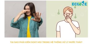 Tại Sao Phải Kiểm Soát Mùi Trong Hệ Thống Xử Lý Nước Thải