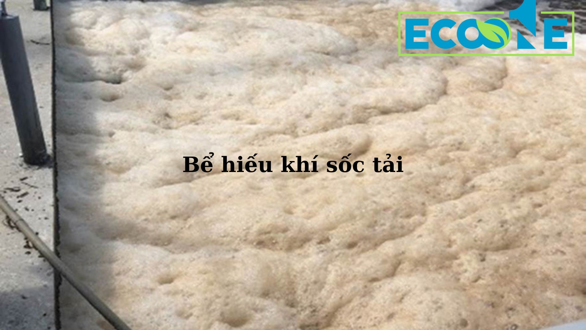 Bể Hiếu Khí Sốc Tải