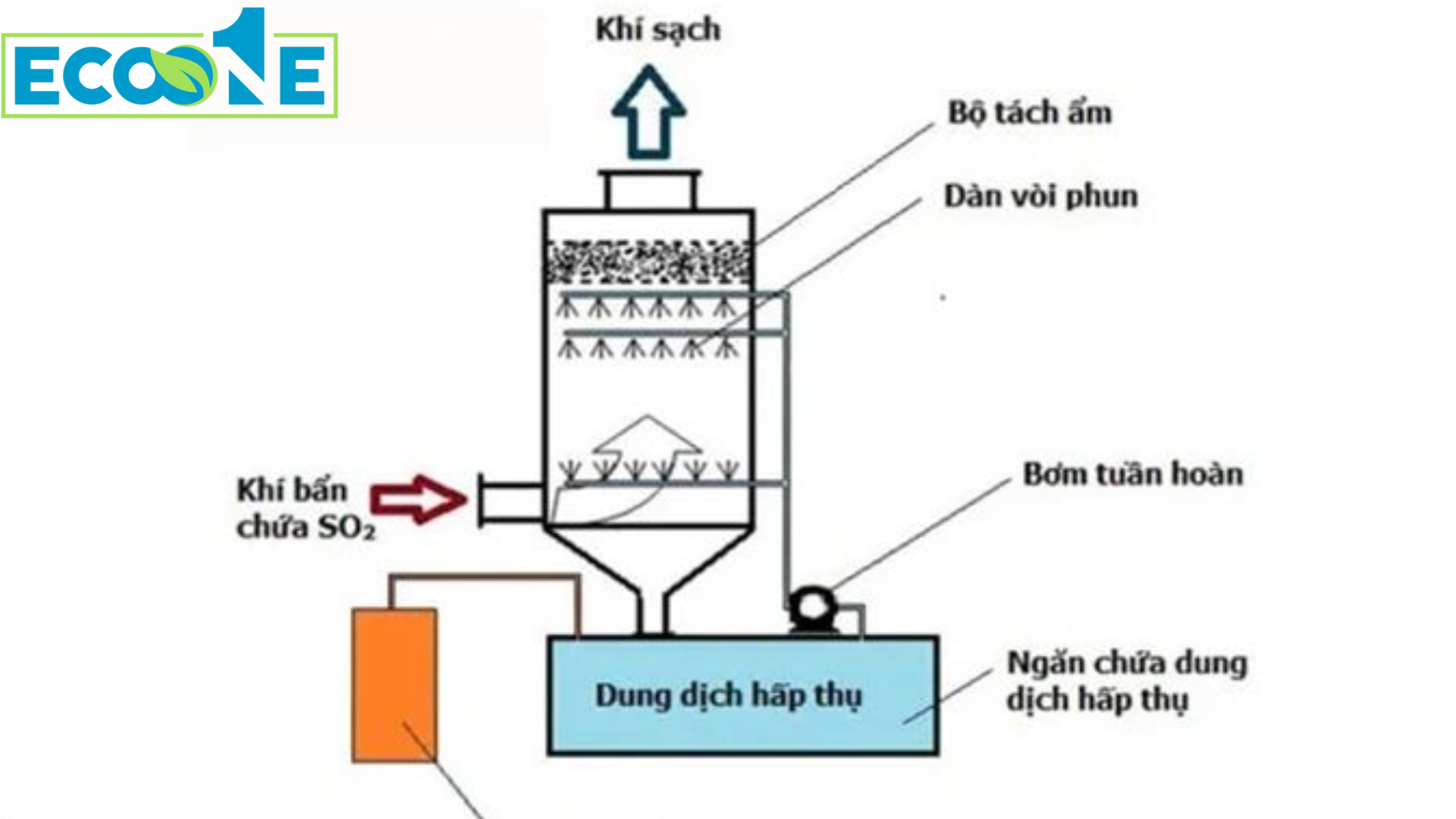 Phương Pháp Hấp Thụ