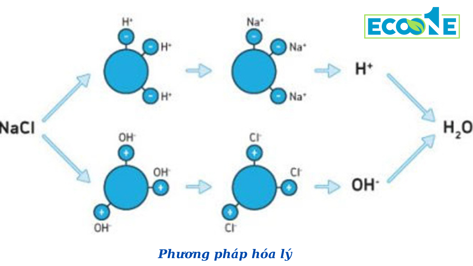 Phương Pháp Hóa Lý