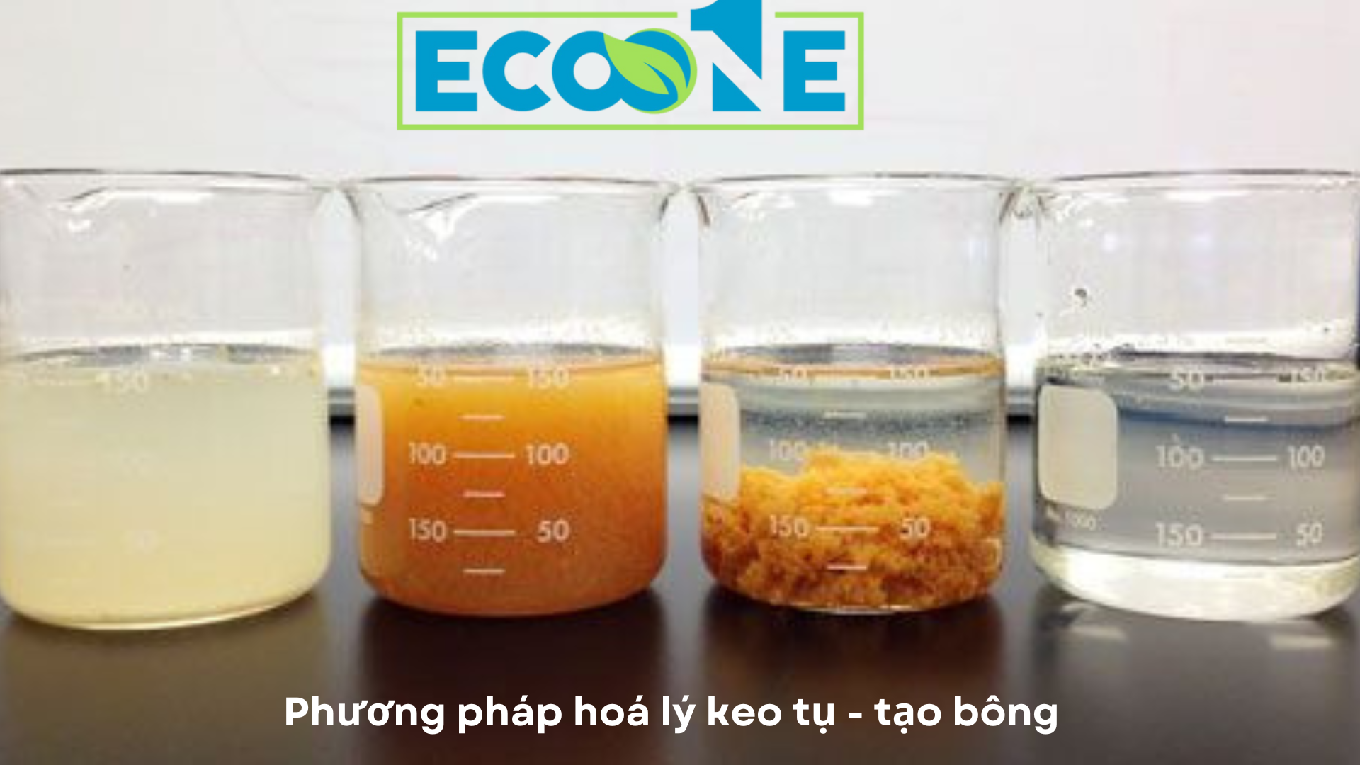 Phương Pháp Hoá Lý Keo Tụ Tạo Bông