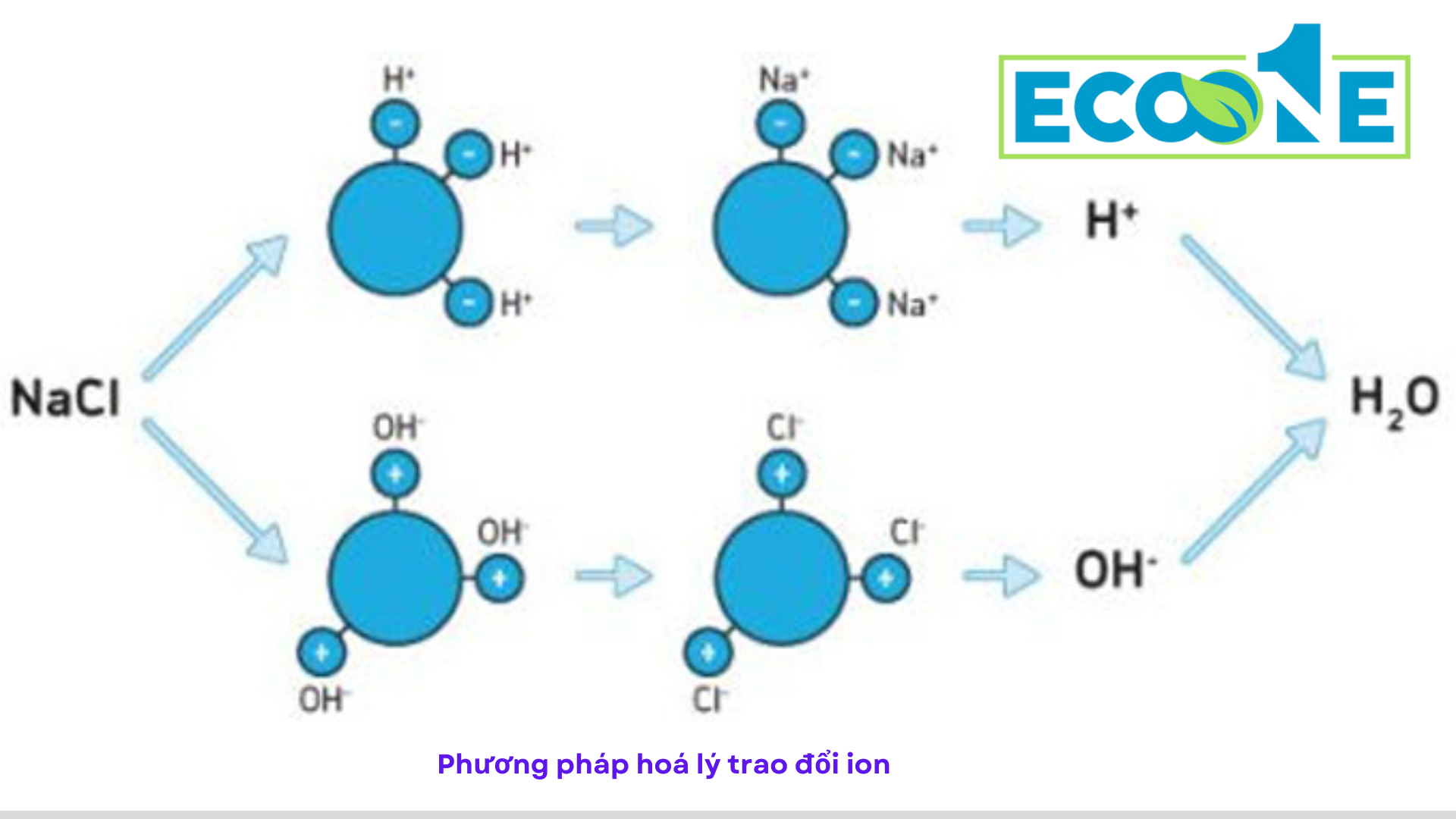 Phương Pháp Hoá Lý Trao đổi Ion