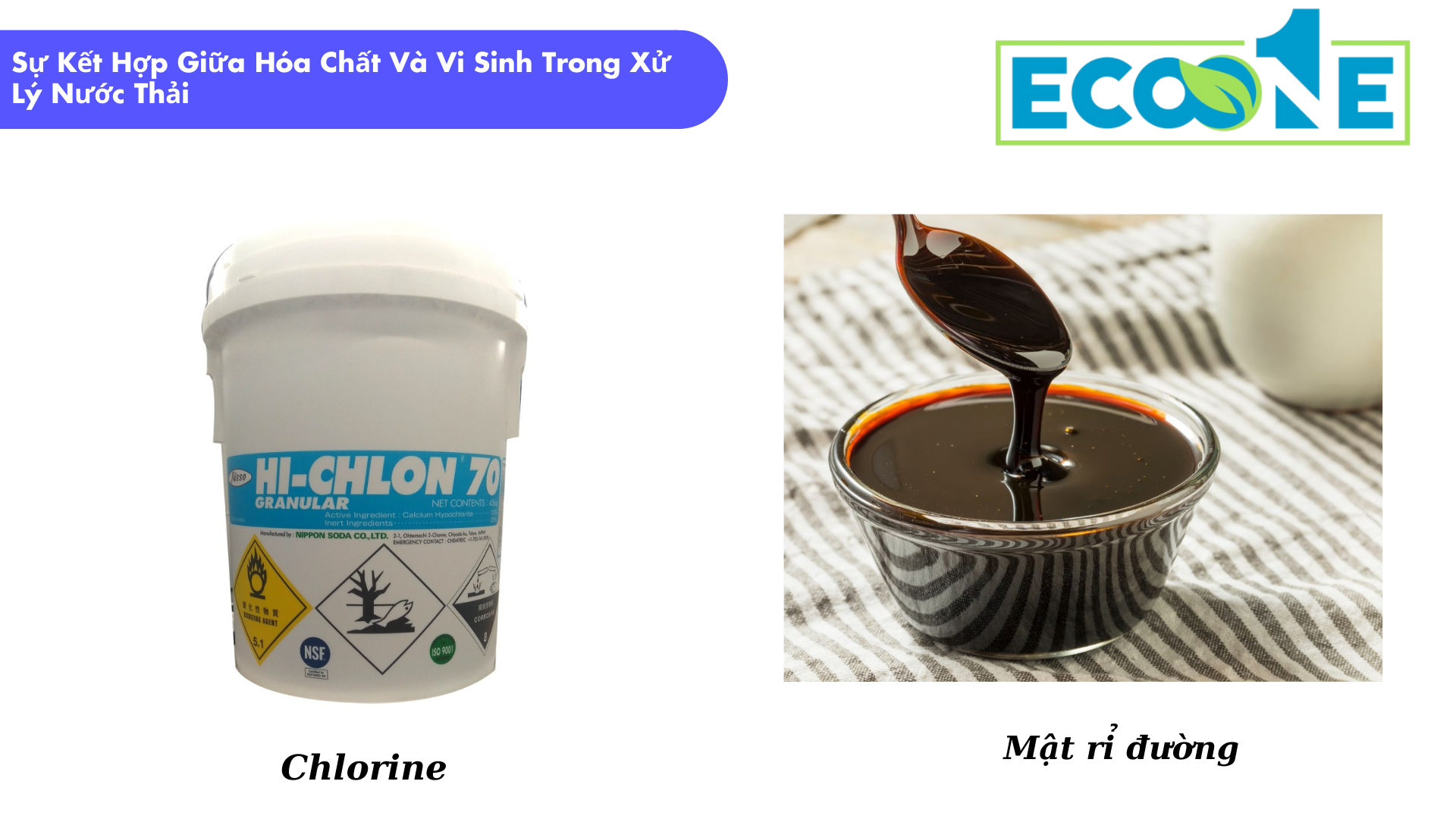 Sự Kết Hợp Giữa Hóa Chất Và Vi Sinh Trong Xử Lý Nước Thải (1)