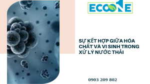 Sự Kết Hợp Giữa Hóa Chất Và Vi Sinh Trong Xử Lý Nước Thải
