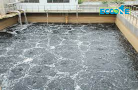 Thiết Kế Chưa Có Tên (12)