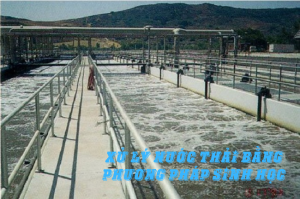 XỬ LÝ NƯỚc ThẢi BẰng PhƯƠng PhÁp Sinh HỌc