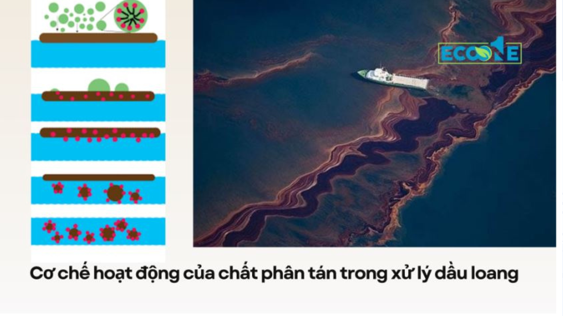 Cơ chế hoạt động của chất phân tán trong xử lý dầu loang