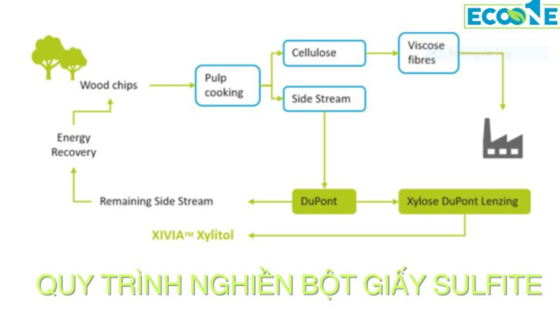 Phương pháp nghiền bột giấy Sulfite