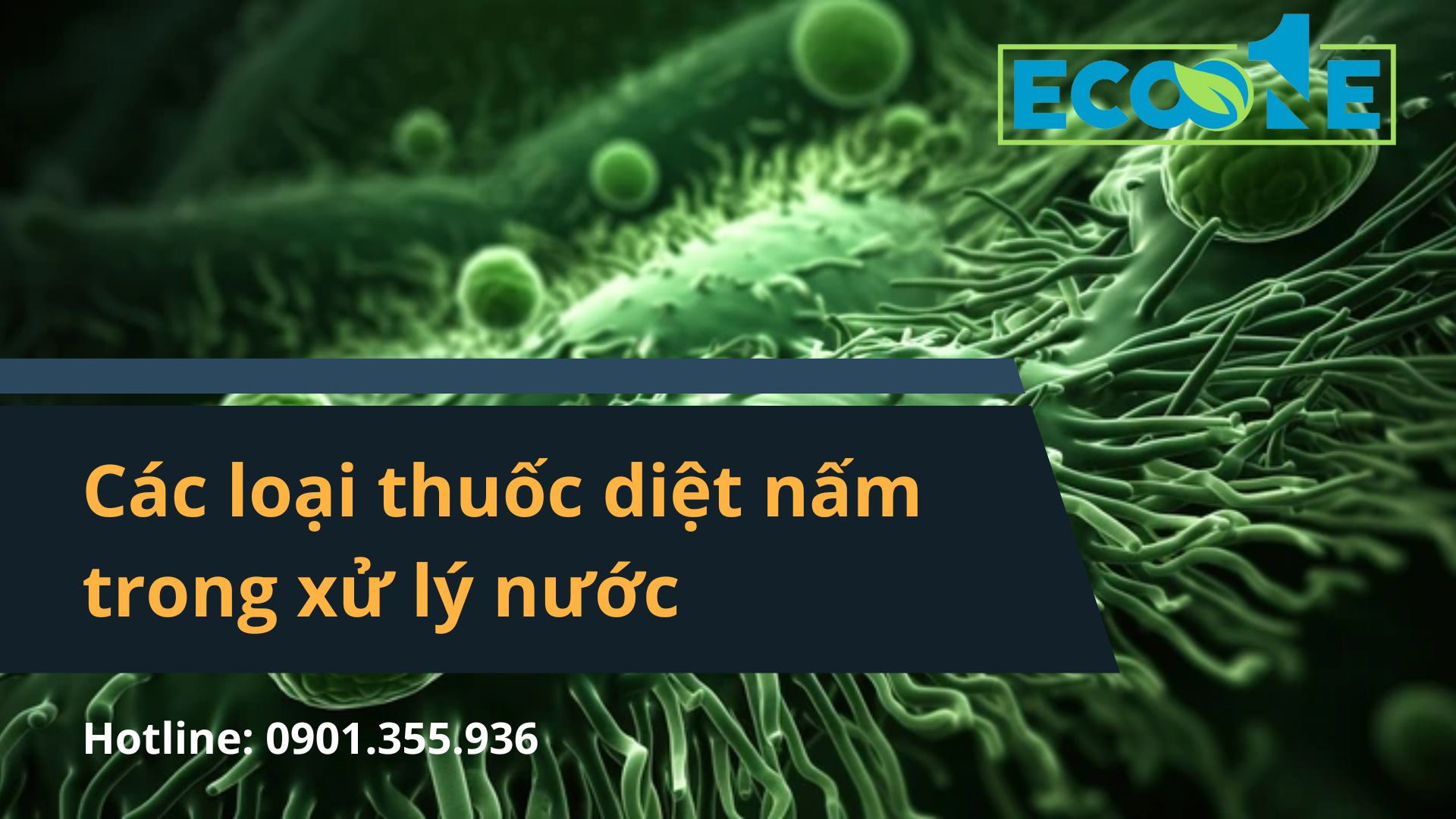 Các Loại Thuốc Diệt Nấm Trong Xử Lý Nước