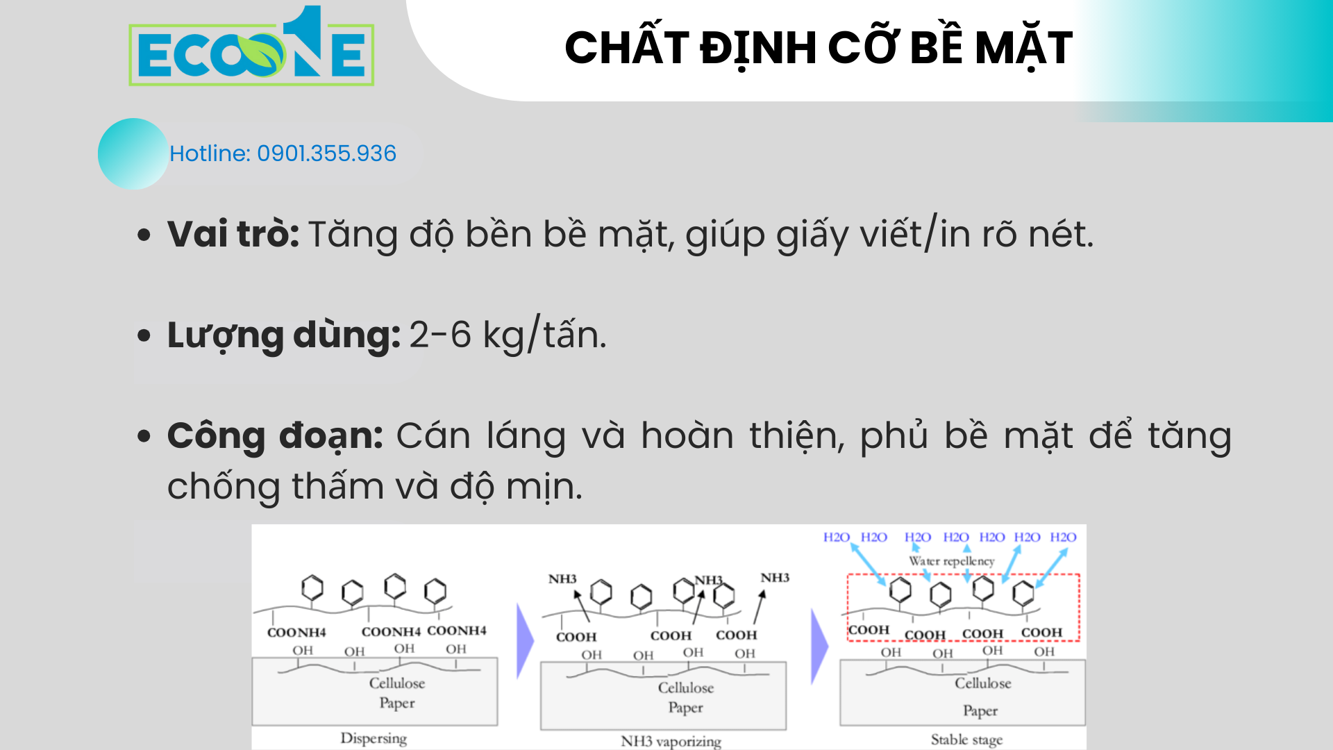 Chất định Cỡ Bề Mặt Trong Sản Xuất Giấy Viết