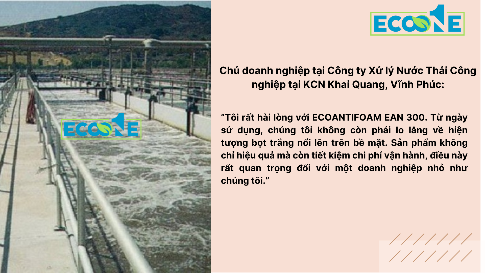 Chủ Doanh Nghiệp Tại Công Ty Xử Lý Nước Thải Công Nghiệp Tại Kcn Khai Quang, Vĩnh Phúc (3)