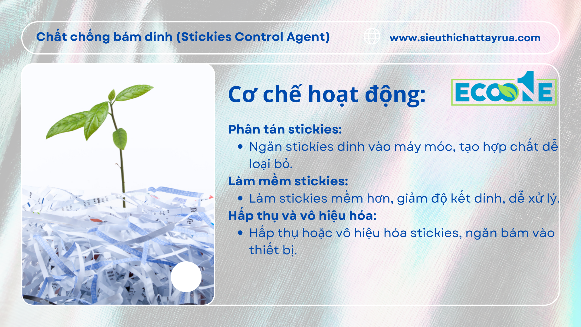 Cơ Chế Hoạt động Của Chất Chống Bám Dính (stickies Control Agent) (2)