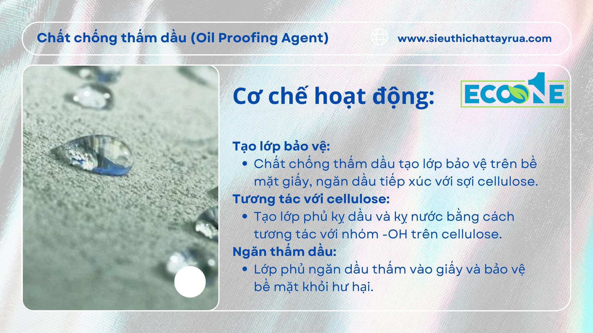 Cơ Chế Hoạt động Của Chất Chống Thấm Dầu (oil Proofing Agent)