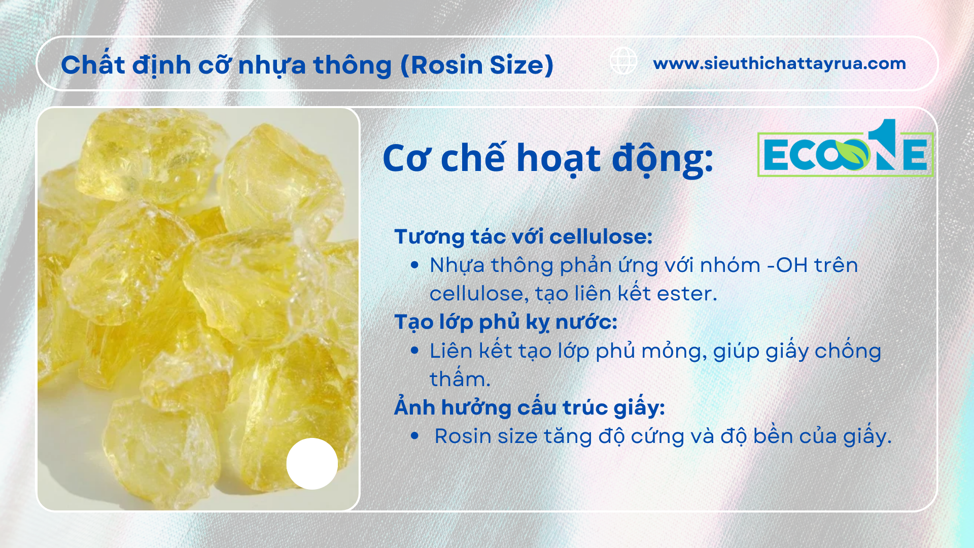 Cơ Chế Hoạt động Của Chất định Cỡ Nhựa Thông (rosin Size)