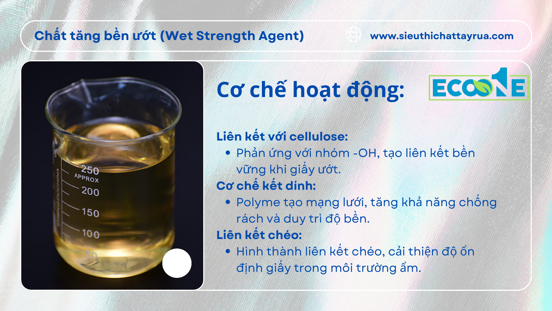 Cơ Chế Hoạt động Của Chất Tăng Bền ướt (wet Strength Agent)