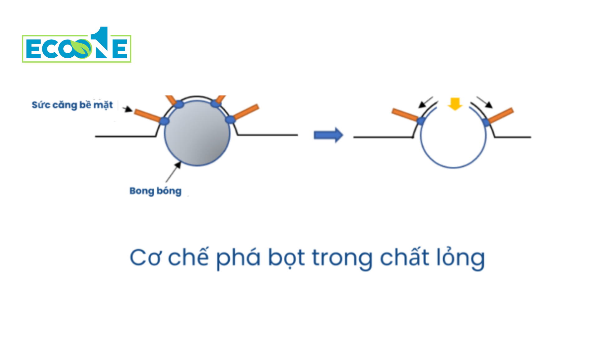 Cơ Chế Khử Bọt Trong Rửa Vi Mạch điện Tử