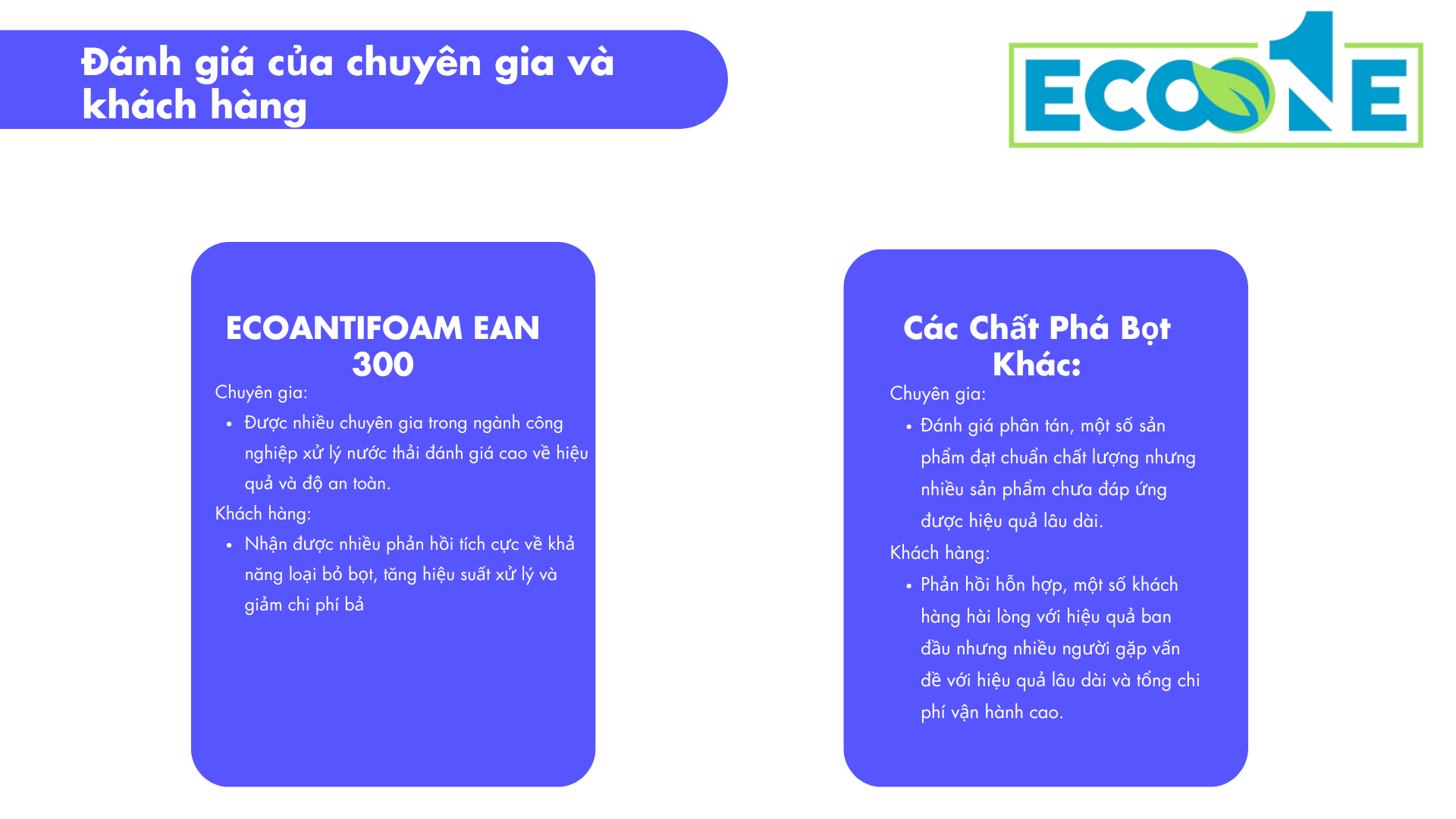 Đánh Giá Của Chuyên Gia Và Khách Hàng