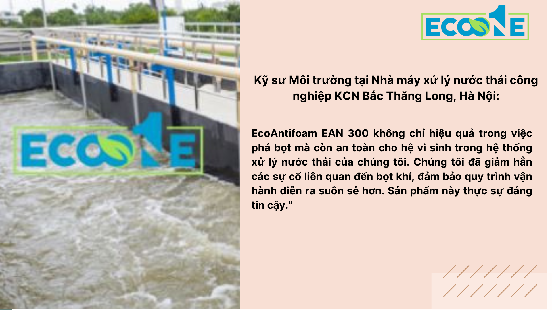 Kỹ Sư Môi Trường Tại Nhà Máy Xử Lý Nước Thải Công Nghiệp Kcn Bắc Thăng Long, Hà Nội (1)