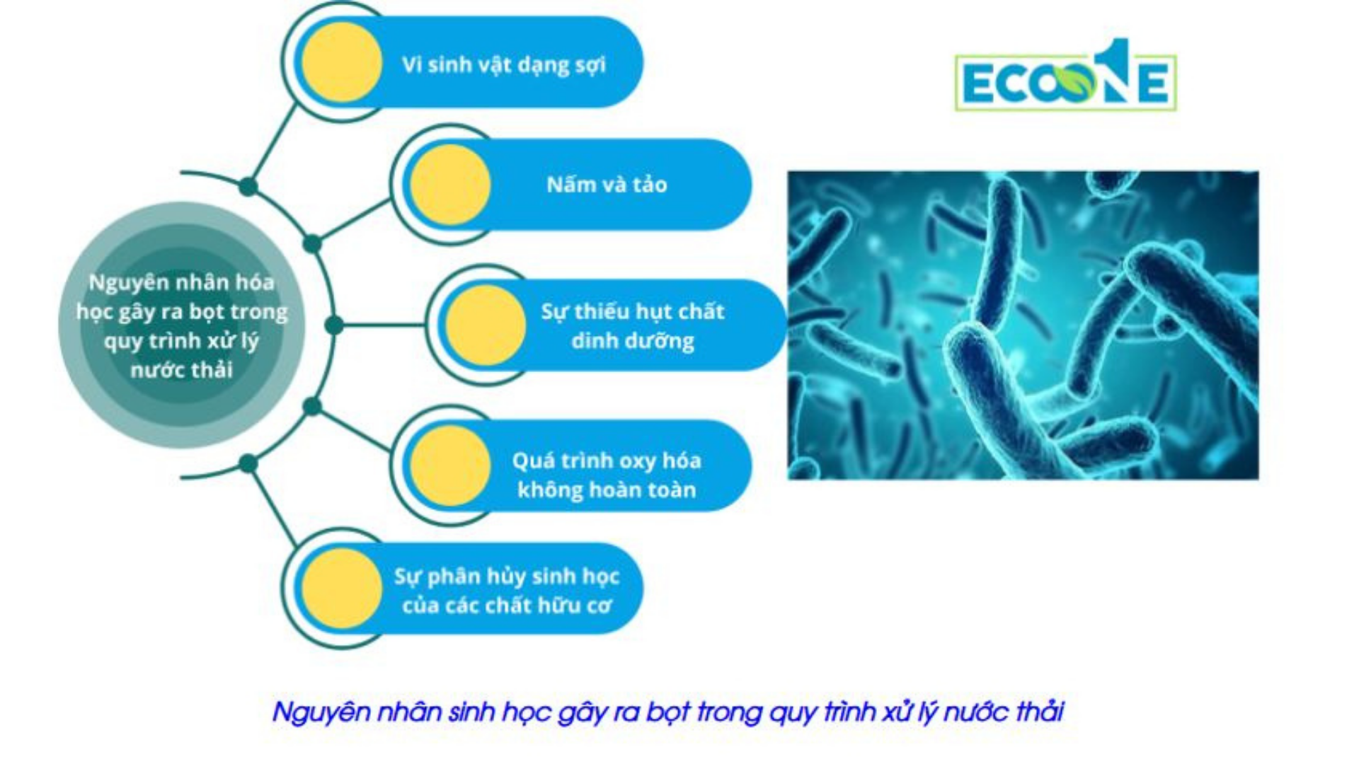 Nguyên Nhân Hóa Học Gây Ra Bọt Trong Quy Trình Xử Lý Nước Thải