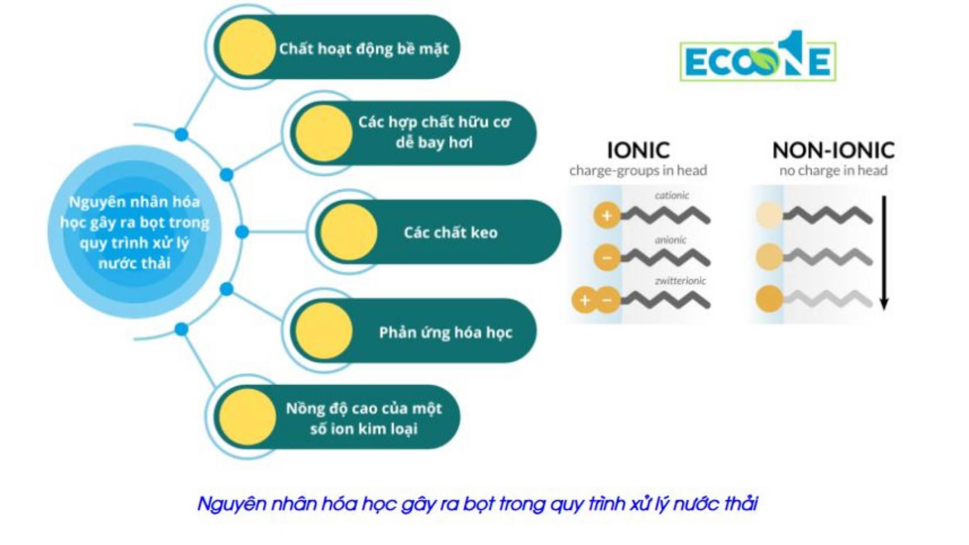 Nguyên Nhân Sinh Ra Bọt Trong Xử Lý Nước Thải