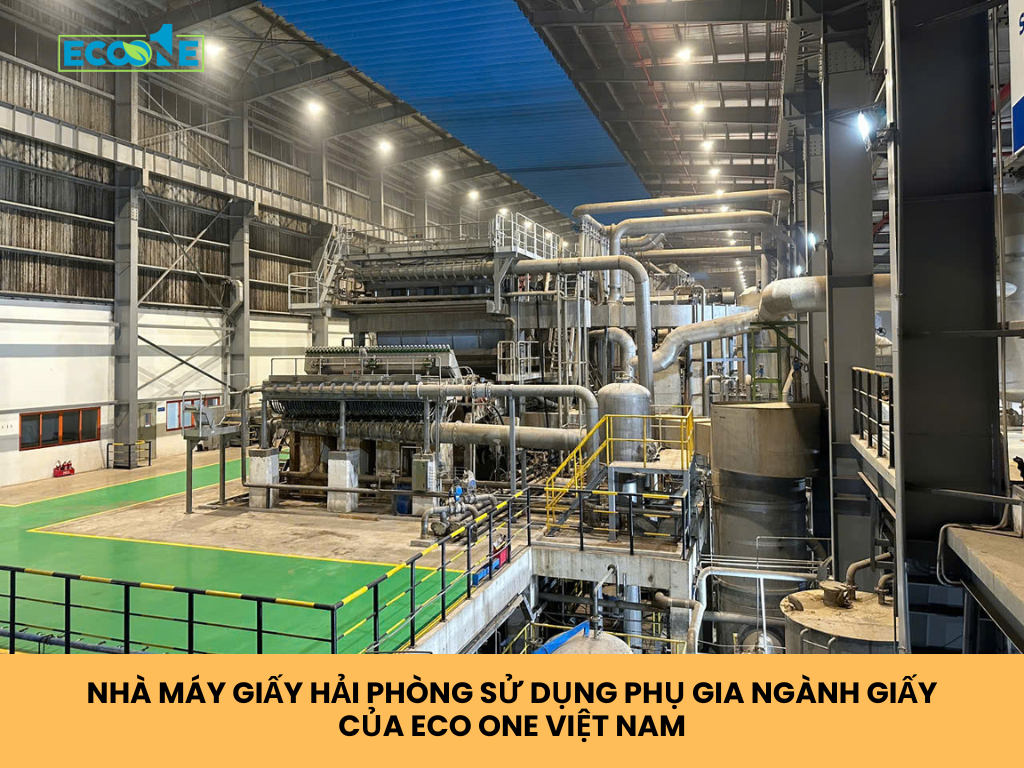 Nhà Máy Giấy Hải Phòng Sử Dụng Phụ Gia Ngành Giấy Của Eco One Việt Nam