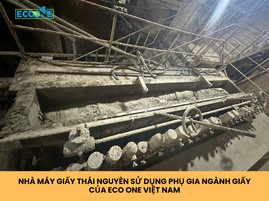 Nhà Máy Giấy Thái Nguyên Sử Dụng Phụ Gia Ngành Giấy Của Eco One Việt Nam
