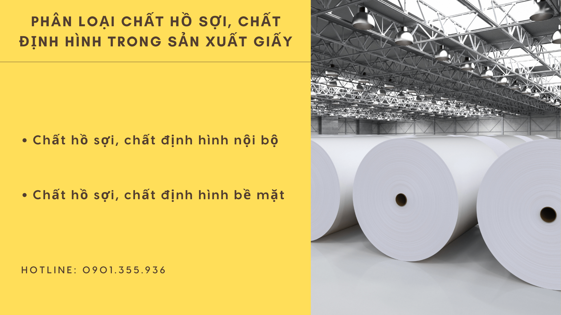Phân Loại Chất Hồ Sợi, Chất định Hình Trong Sản Xuất Giấy