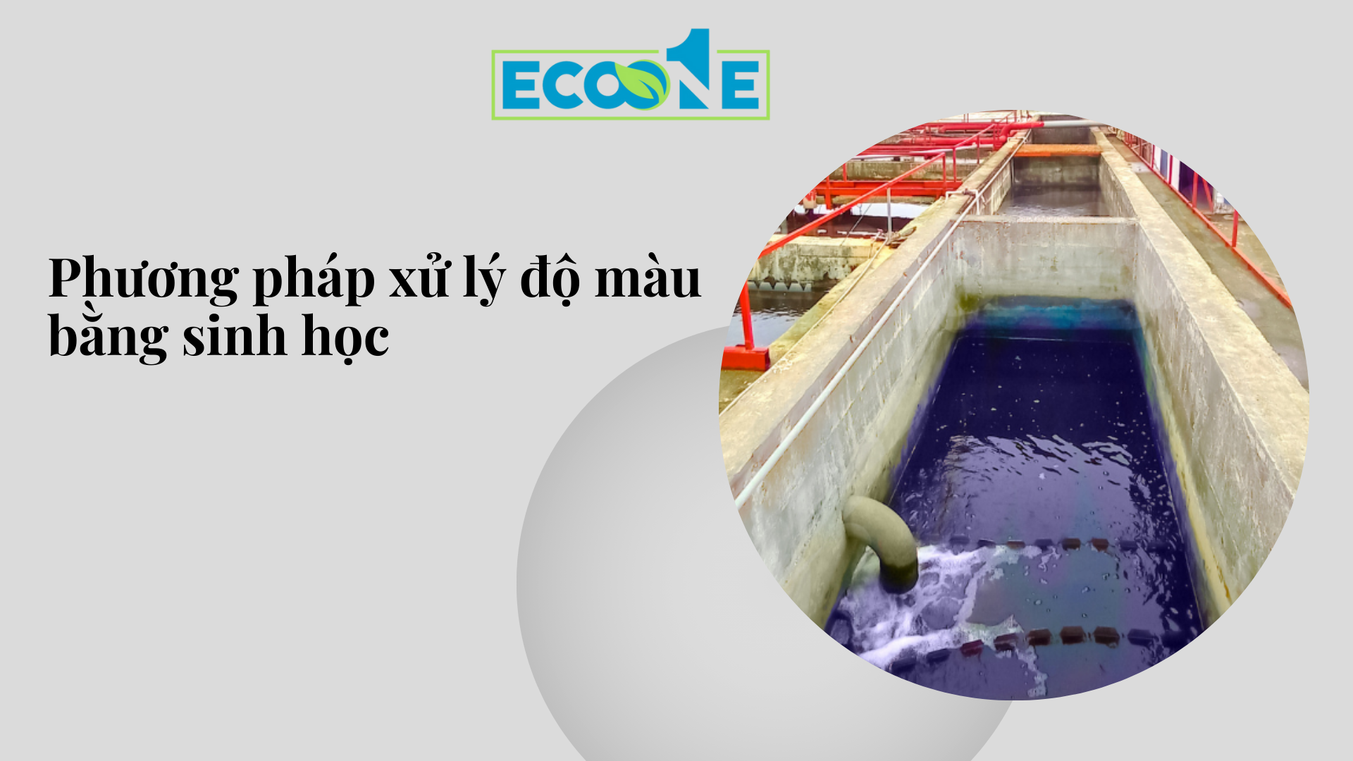 Phương pháp xử lý độ màu bằng sinh học