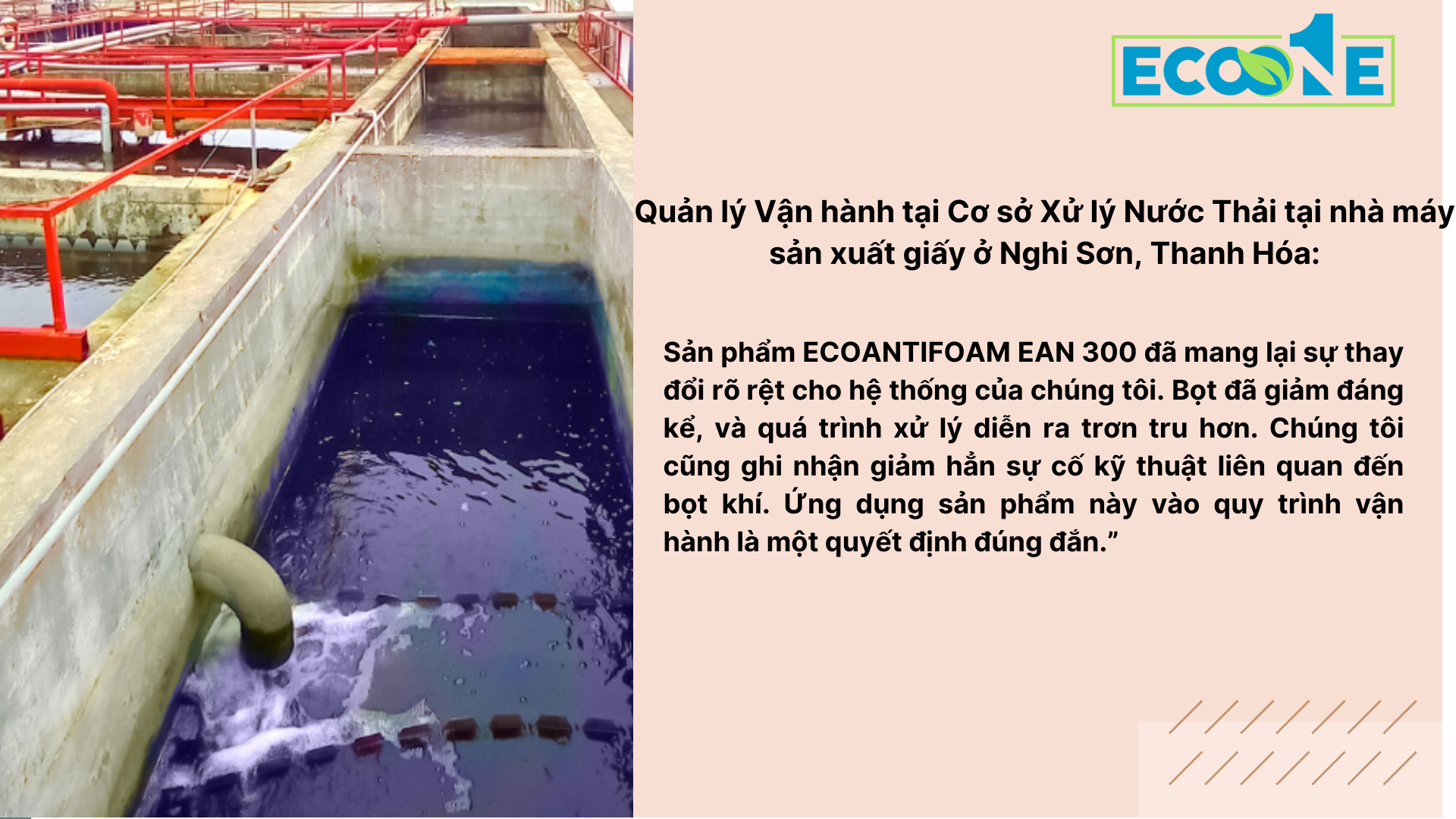 Quản Lý Vận Hành Tại Cơ Sở Xử Lý Nước Thải Tại Nhà Máy Sản Xuất Giấy ở Nghi Sơn, Thanh Hóa (1)
