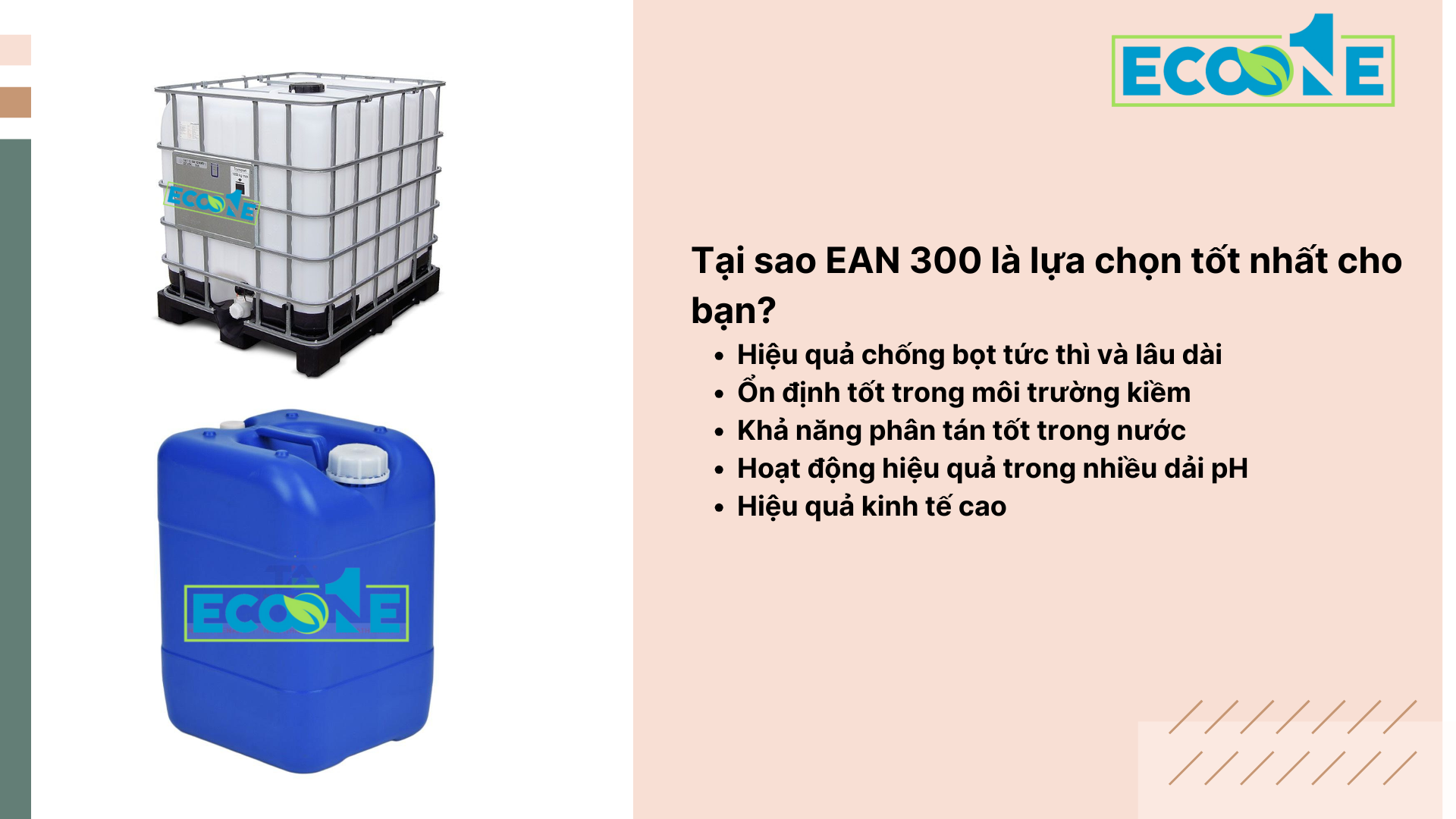 Tại Sao Ean 300 Là Lựa Chọn Tốt Nhất Cho Bạn (1)