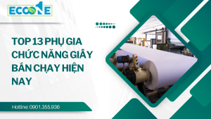 Top 13 Phụ Gia Chức Năng Giấy Bán Chạy Hiện Nay