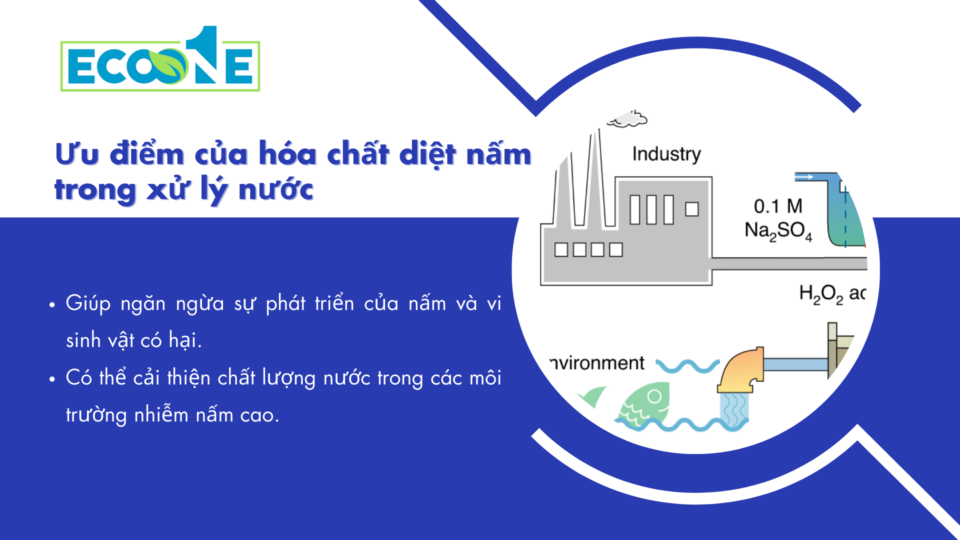 Ưu điểm Của Hóa Chất Diệt Nấm Trong Xử Lý Nước