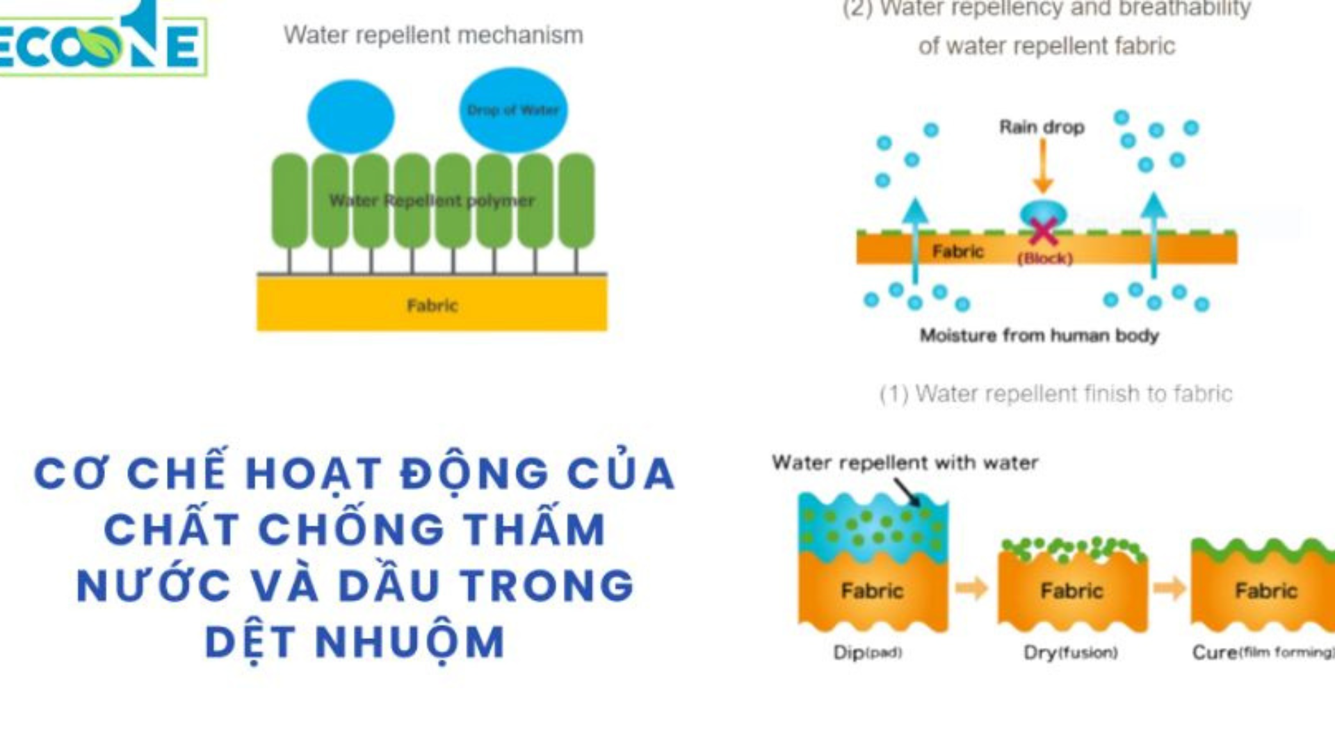 Cơ Chế Hoạt động Của Chất Chống Thấm Nước Và Dầu Trong Dệt Nhuộm
