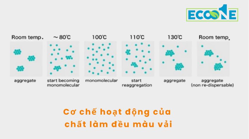 Cơ chế hoạt động của chất làm đều màu vải