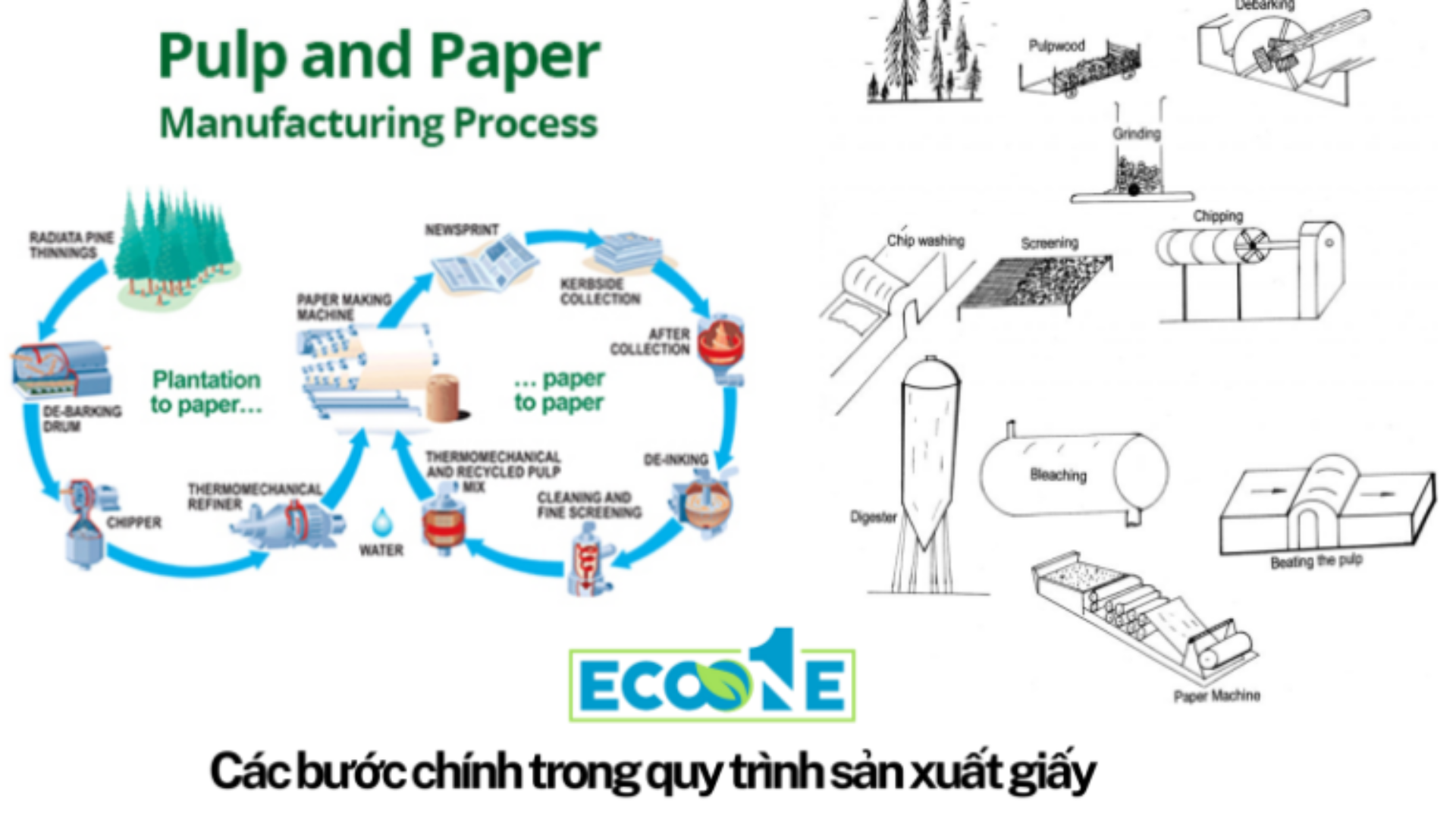 Các Bước Chính Trong Quy Trình Sản Xuất Giấy