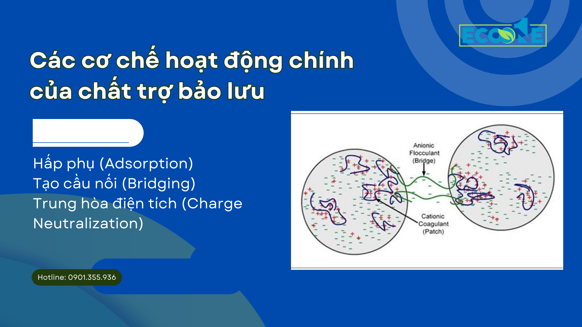 Các Cơ Chế Hoạt động Chính Của Chất Trợ Bảo Lưu Trong Sản Xuất Giấy