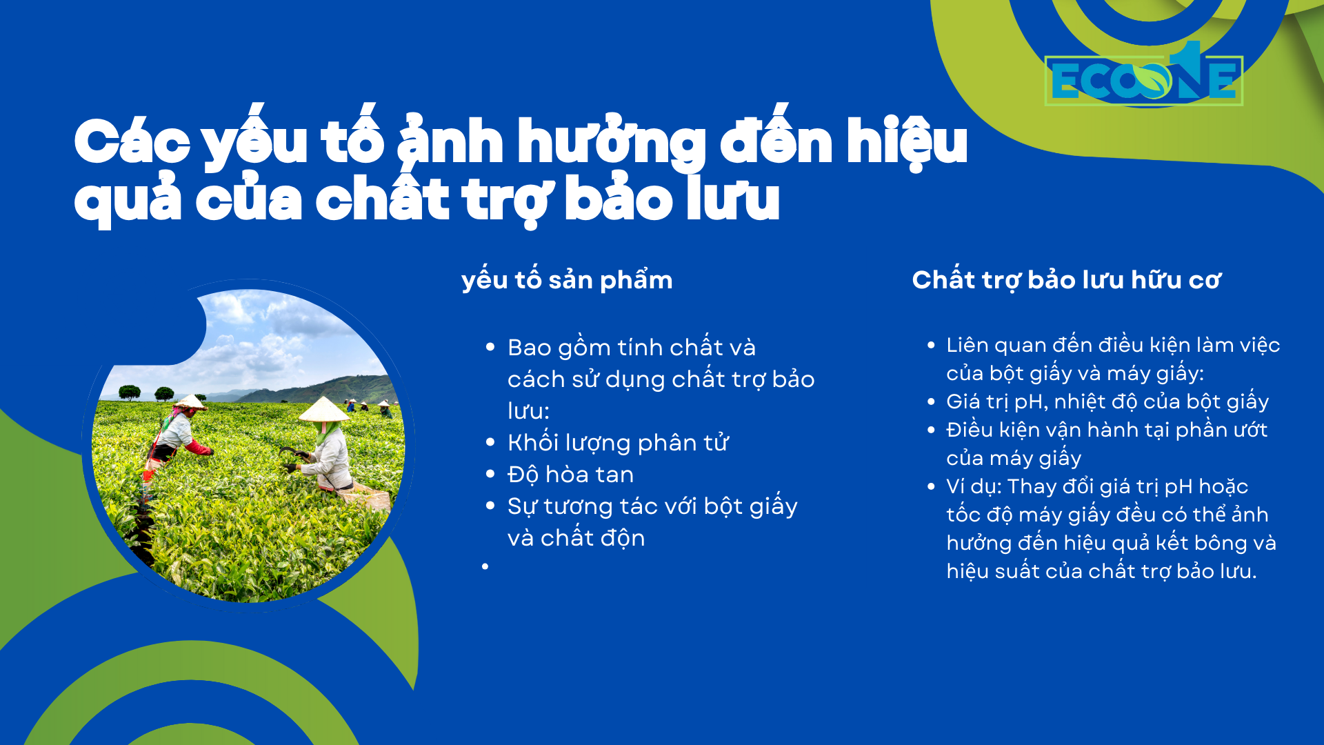 Các Yếu Tố ảnh Hưởng đến Hiệu Quả Của Chất Trợ Bảo Lưu Trong Sản Xuất Giấy