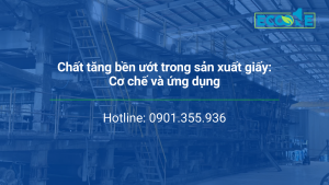 Chất Tăng Bền ướt Trong Sản Xuất Giấy Cơ Chế Và ứng Dụng