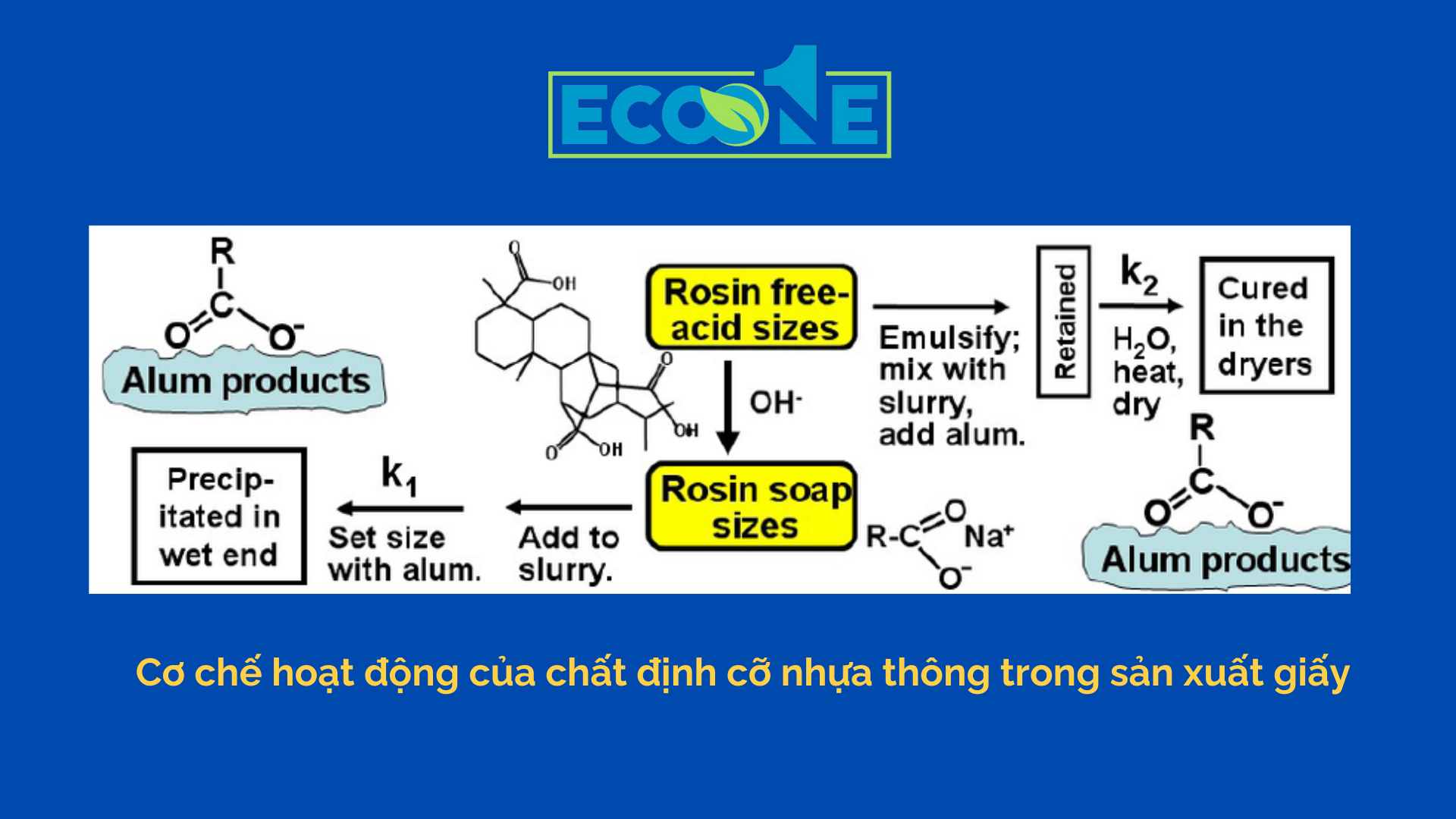 Cơ Chế Hoạt động Của Chất định Cỡ Nhựa Thông Trong Sản Xuất Giấy