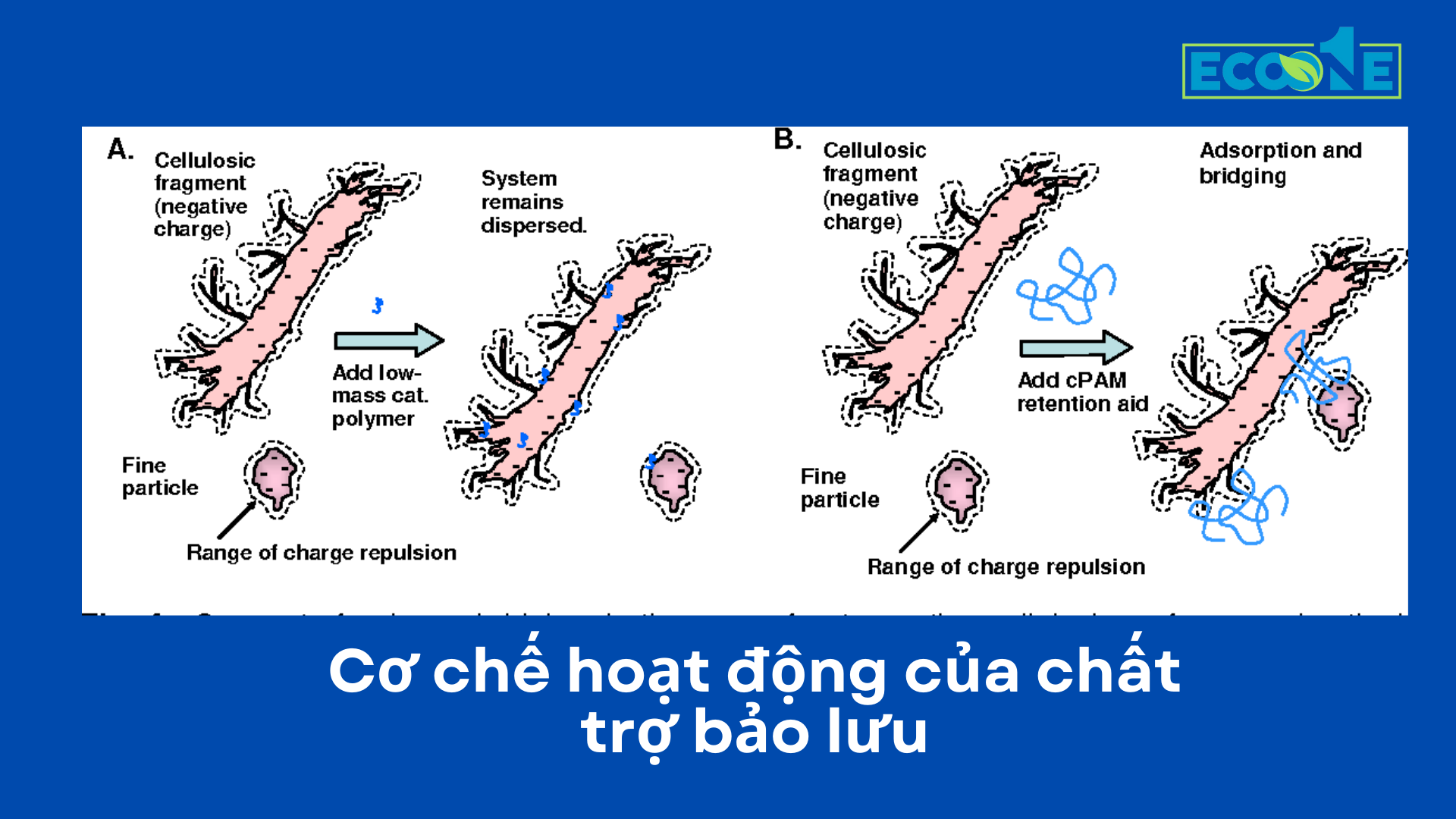 Cơ Chế Hoạt động Của Chất Trợ Bảo Lưu Trong Sản Xuất Giấy